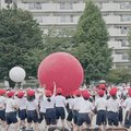 たくさんの体操服が赤と白の大玉送りをしている