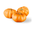 Pumpkins are botanically classified as fruits because they develop from the flower's ovary and contain seeds.