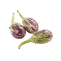 Native to the Indian subcontinent, brinjal is widely cultivated across the country due to its adaptability to various climatic conditions