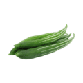 Snake gourd fruits are long, slender, and curved, resembling a snake.