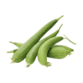 long, green vegetable with a rough, sponge-like surface when mature