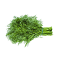 Dill, known as "Suva" in Hindi, is a popular herb and leafy vegetable used in Indian cuisine for its distinct flavor and aroma.