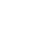 Synim Project