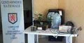 Tarbes. Les gendarmes saisissent 11 pieds de cannabis et 240 grammes de drogue