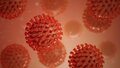 Coronavirus, le nombre de malades augmente dans les hôpitaux des Hautes Pyrénées