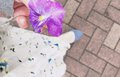 紫色のパンジーを持ってレンガの道を歩いている女性の足とワンピースが映っている
