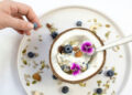 Go Nuts: The Sixty-Minute Dairy-Free Yoghurt Recipe Hack for Busy Vegans