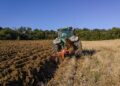 Gaza, les agriculteurs tentent de relancer les cultures