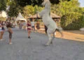 Equestria 2026 à Tarbes : nos photos