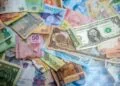 Les billets de banque cachés dans un coffre fort mangés par les termitesLes billets de banque cachés dans un coffre fort mangés par les termites