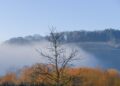 Sécheresse "un dépérissement sans précédent des forêts" en Europe