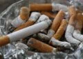 Barbecues et cigarettes interdits face au risque incendie