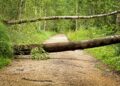 Orages Violents, consignes de sécurité à Tarbes et dans les Hautes Pyrénées