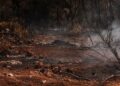 Les Hautes Pyrénées en alerte feux de forêt jeudi et vendredi