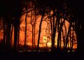 L'incendie de forêt dans l'Aude n'est pas fixé