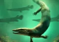 Une nouvelle espèce de dinosaure découverte dans le sud de la France