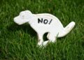 Il tire sur le propriétaire d'un chien qui faisait ses besoins