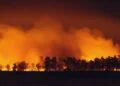 A l'exception des Hautes Pyrénées, toute l'Occitanie en alerte incendie