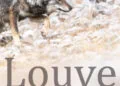 Le film "Louve, une vie dans les Alpes" en avant-première dans les Hautes-Pyrénées