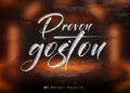 Dj Nelson Papoite - Provou e Gostou