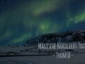Magische Nordlichter in Tromsö – The Aurora Tour