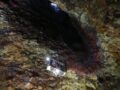 Reise in einen Vulkan – Inside a Volcano