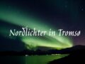 Nordlicht Tour in Tromsö