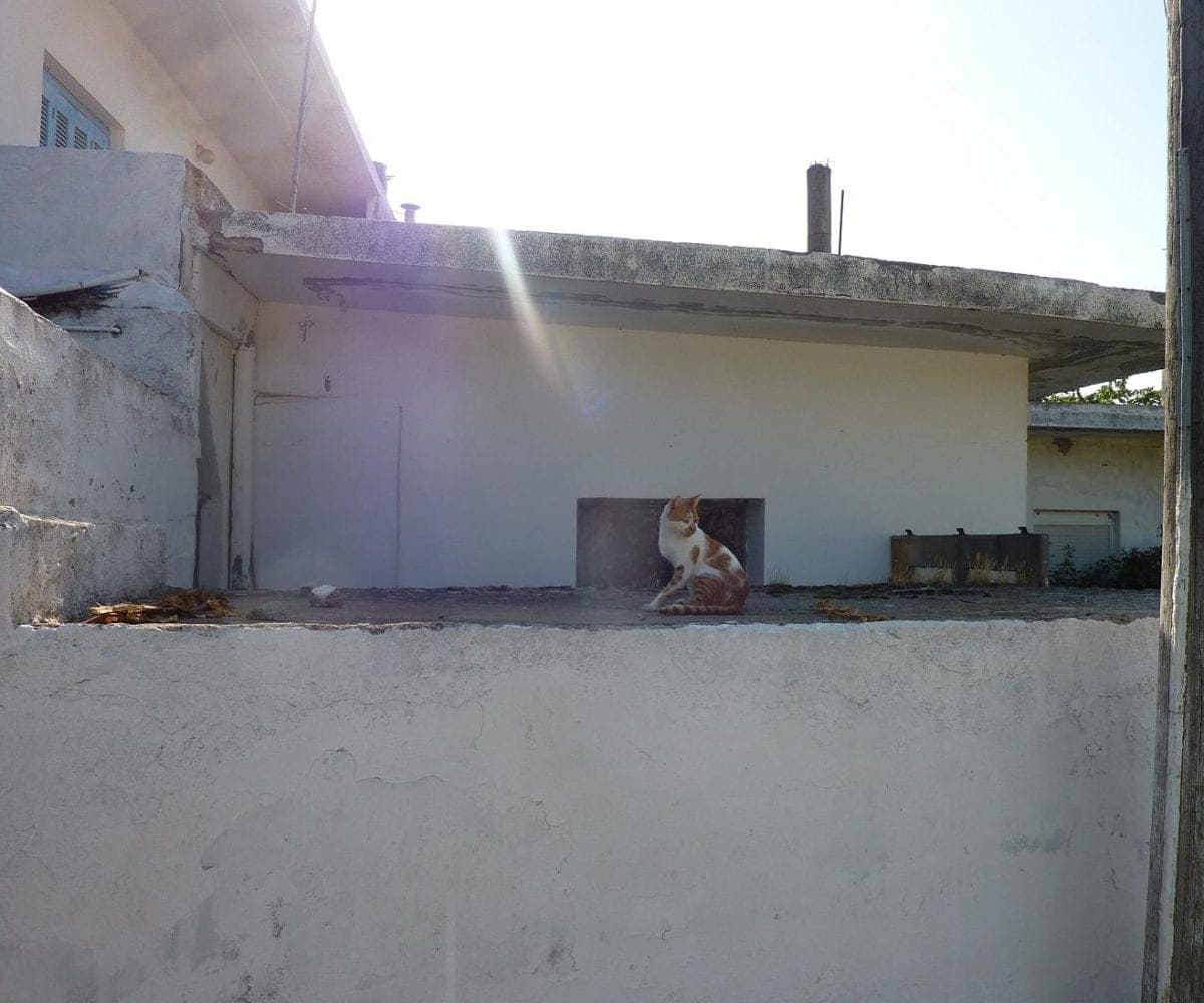 Cretan renovation cottage