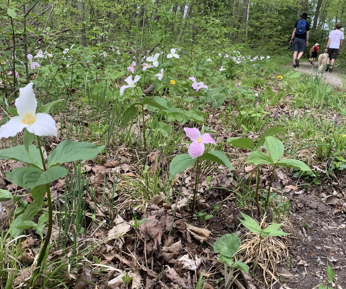 Backcountry Camping begins at Ontario Parks and Crown Lands