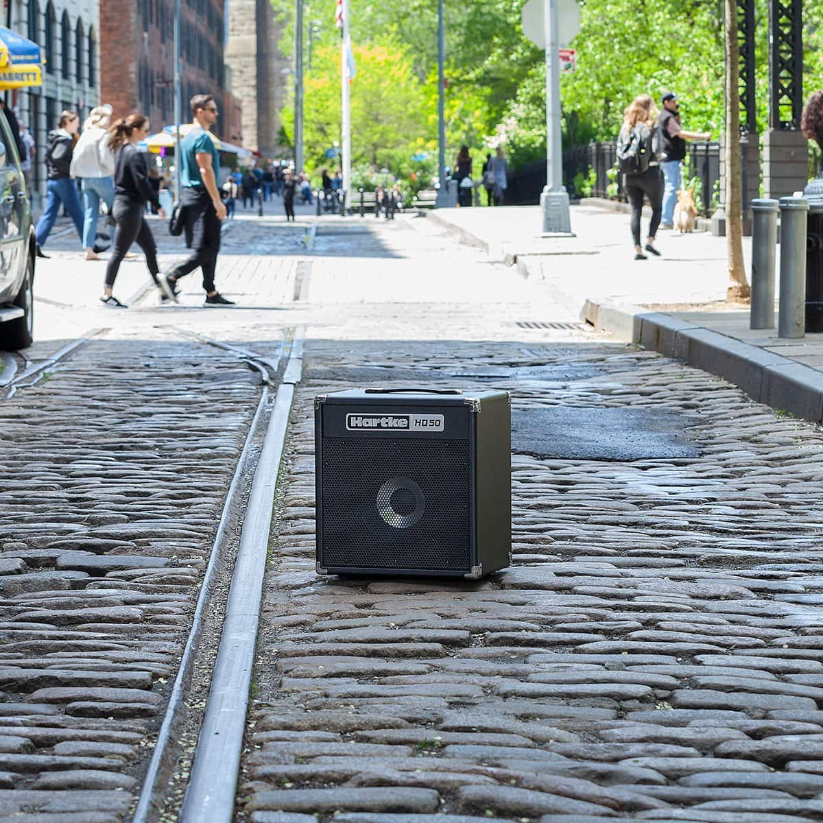 Hartke HD50