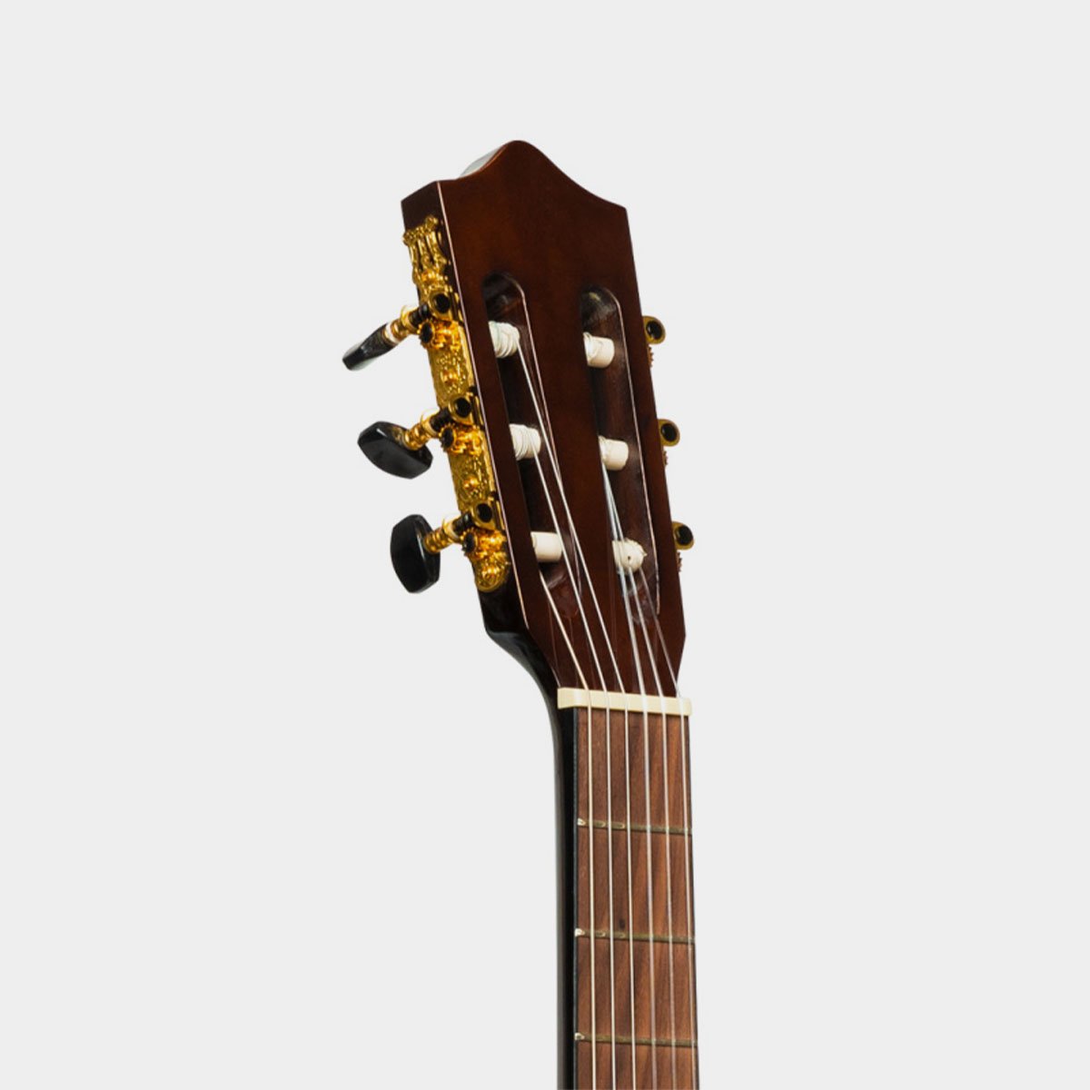 Stagg SCL60 TCE-NAT