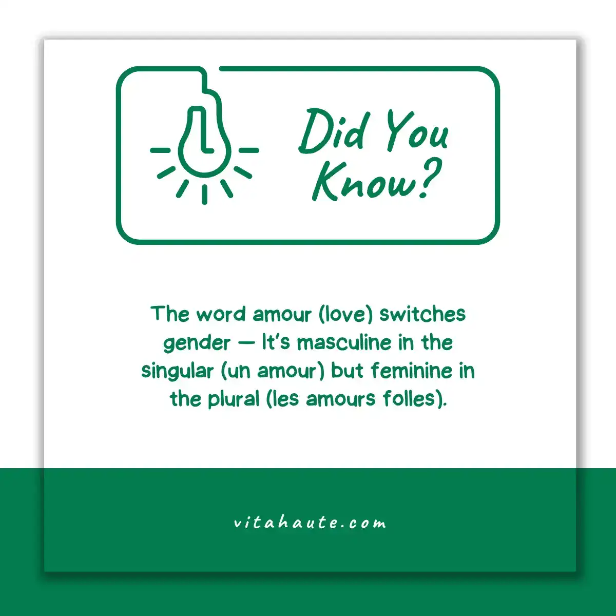 An interesting did you know fact about the French language