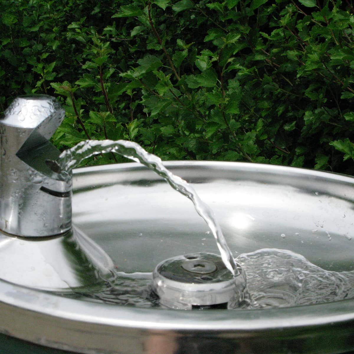 Water Coolers Vs. Drinking Fountains: Which One Should You Choose?