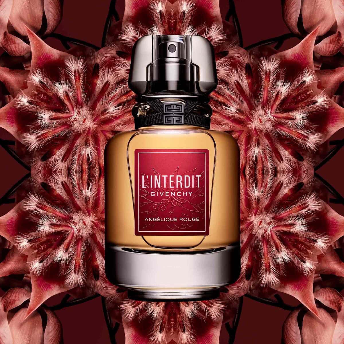 2025 02 03 o 22.36.54plik 2