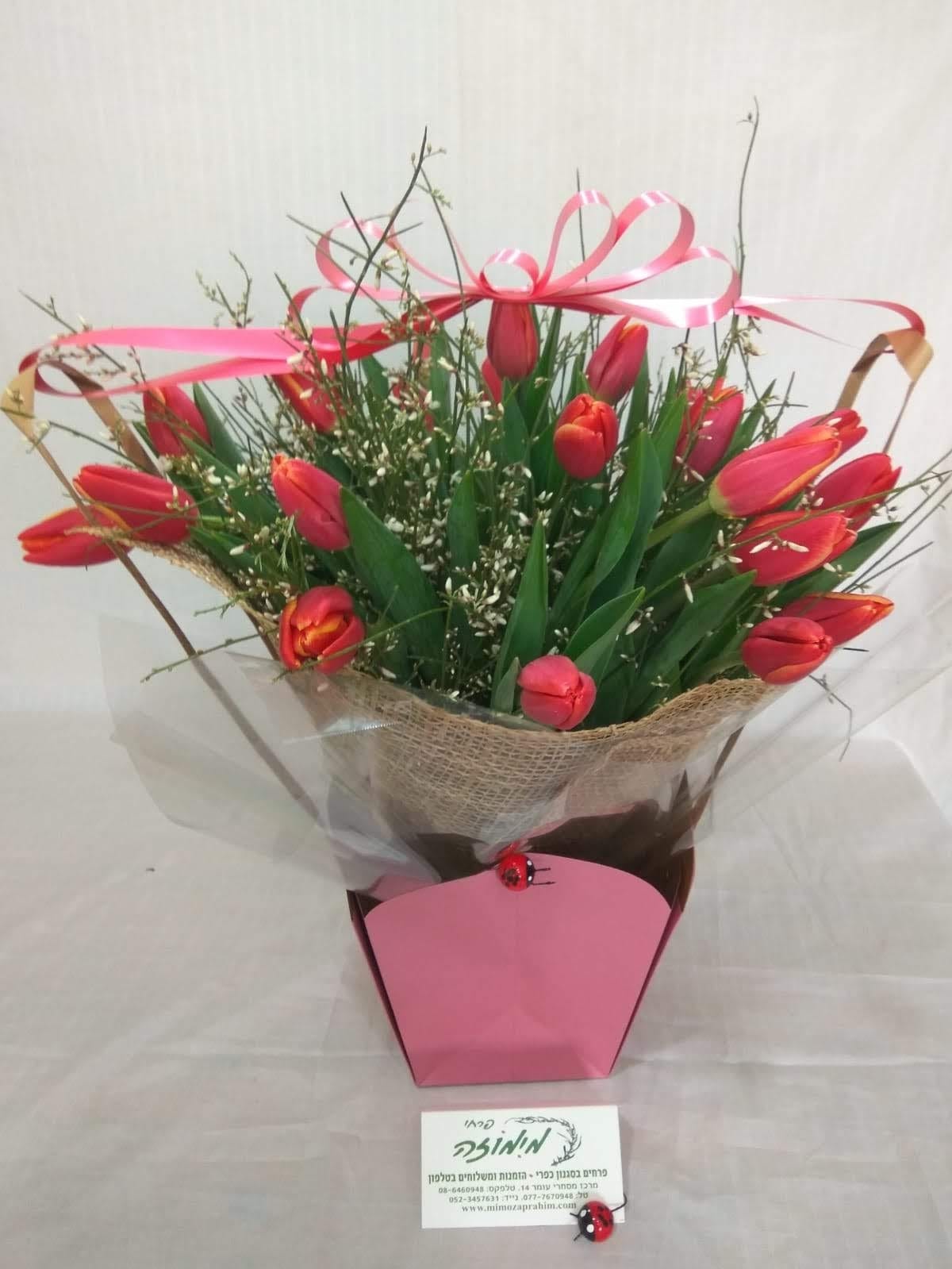 זר 097 - מימוזה