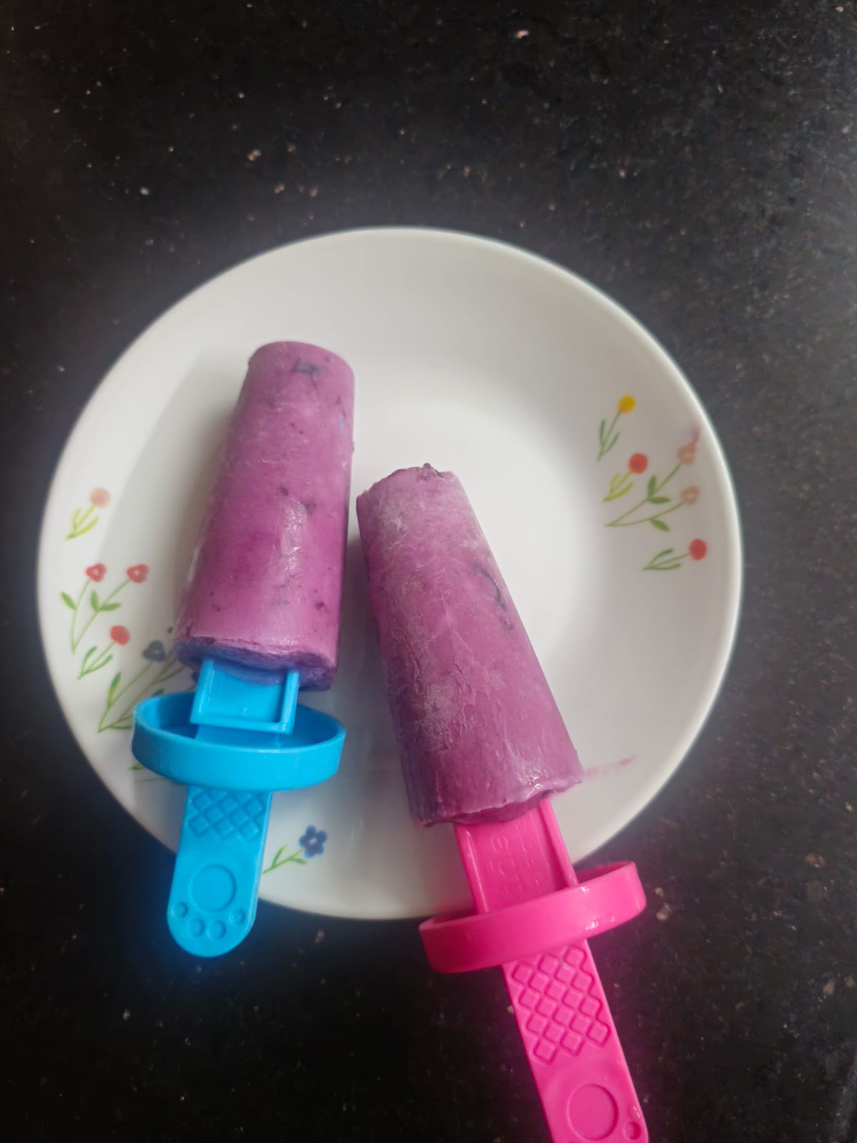 Blueberry Popsicle