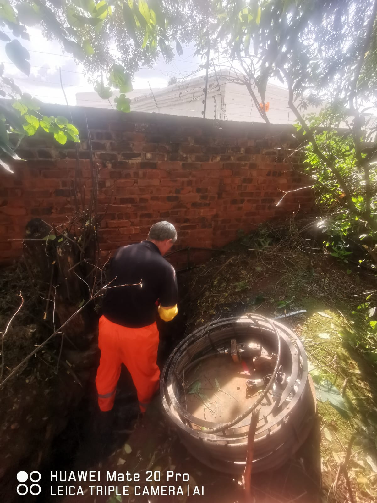 Tree roots in drain 2