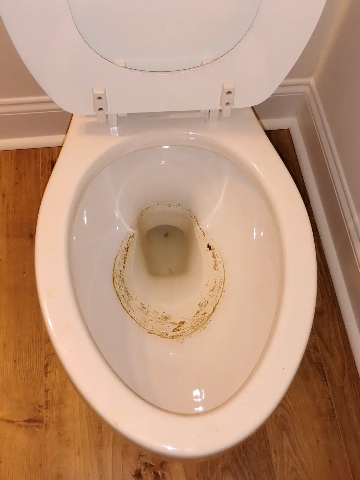 Interior Cleaning Projects Bathroom fixture before DSS Cleaning listing-ready cleaning service in Hollywood, SC