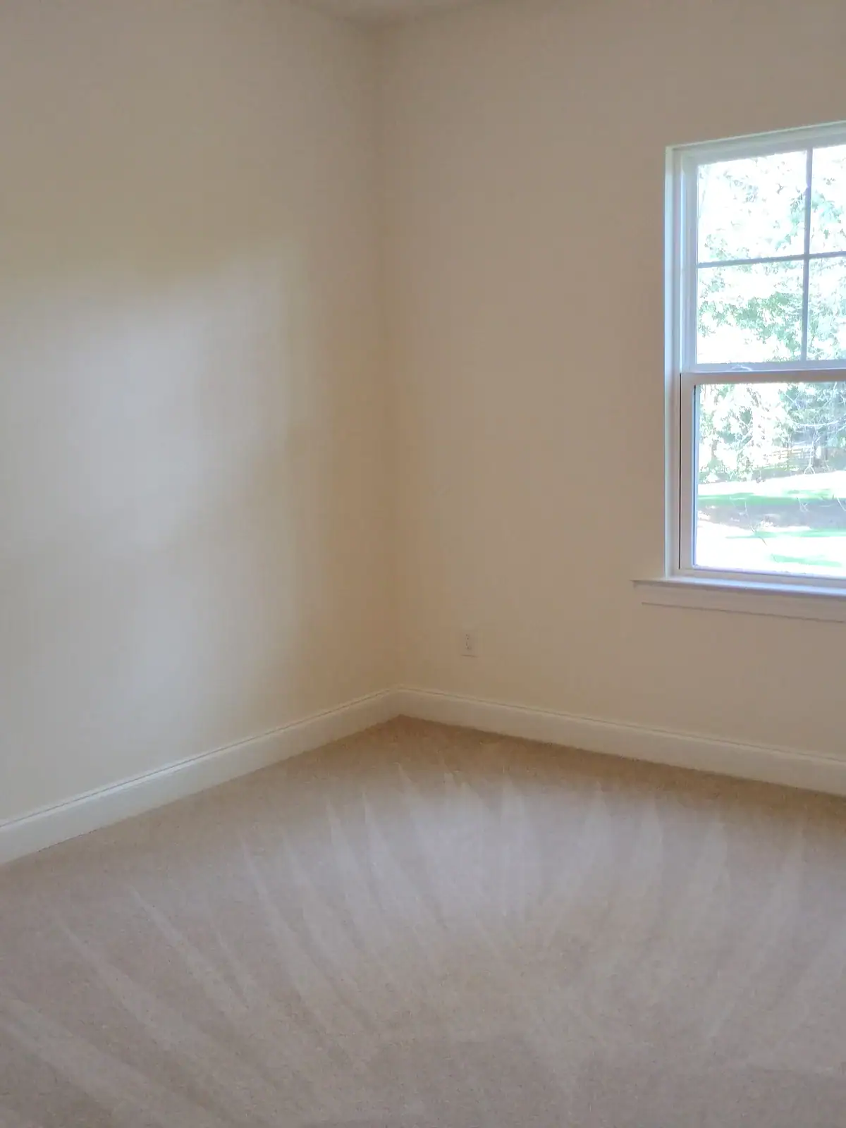Interior Cleaning Projects Freshly vacuumed carpet with clean presentation lines after DSS Cleaning service