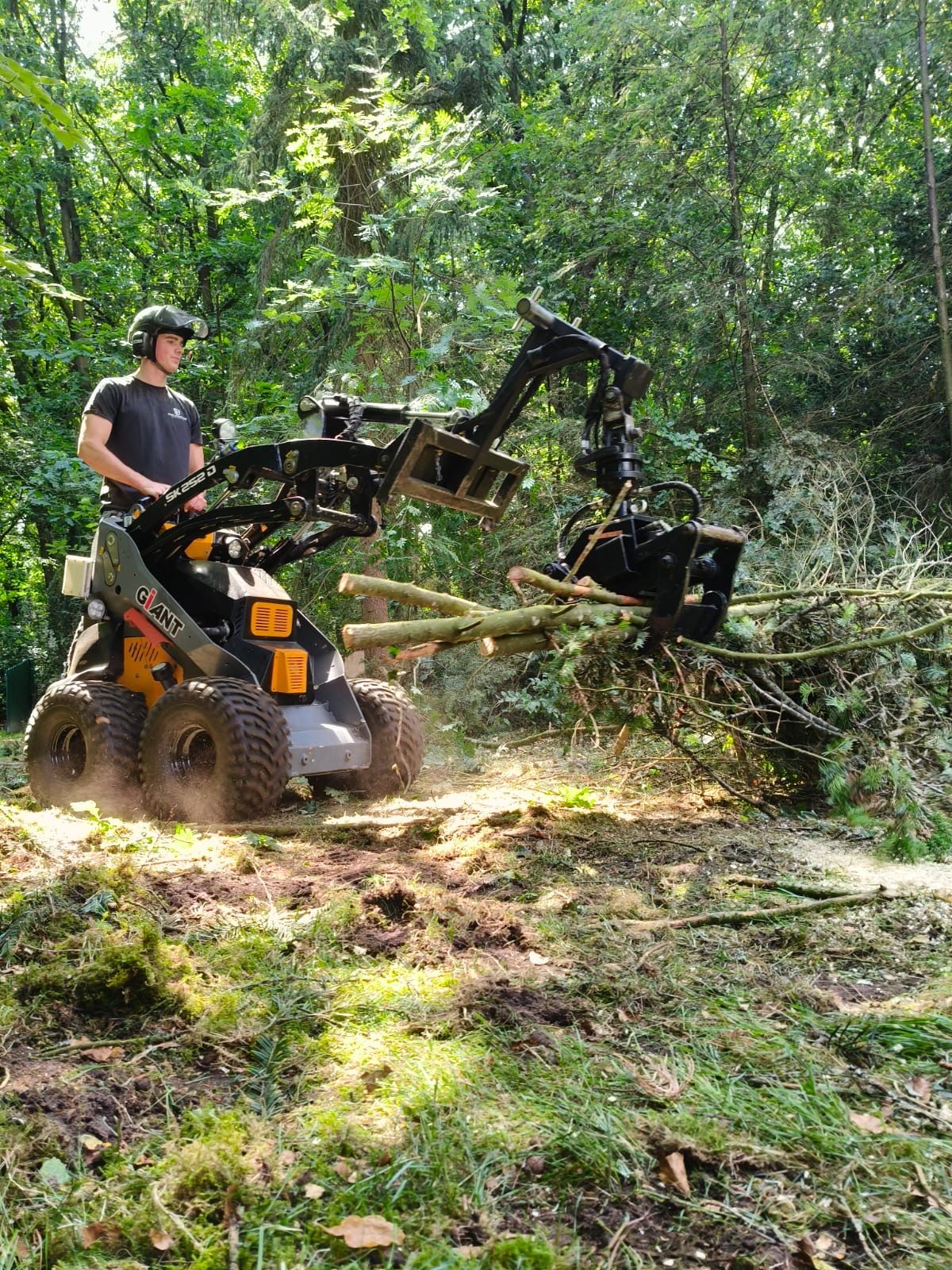 Wegfrezen van boomstronken