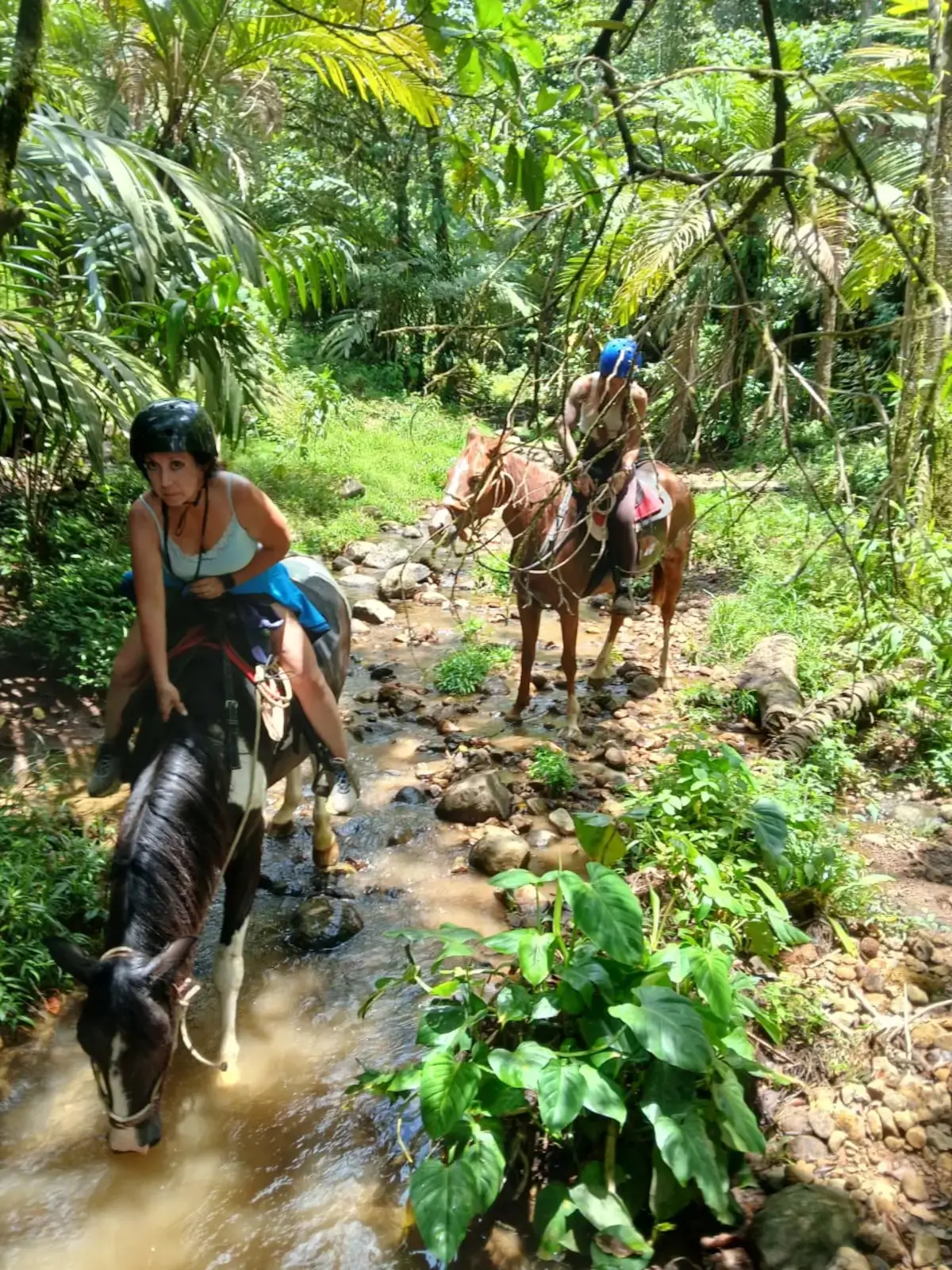 Rio Celeste Tour - Volcano Tenorio Horseback Tour Crossing Streams