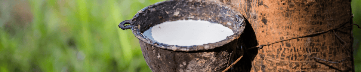 is latex biodegradable