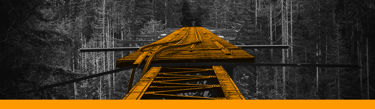 A broken bridge in a forest