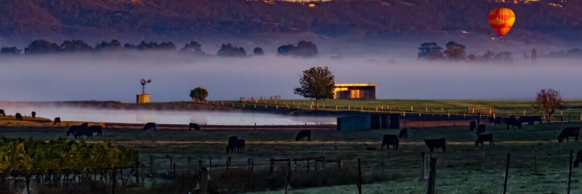 Hot Air Ballooning over the Yarra Valley Wineries, Australia