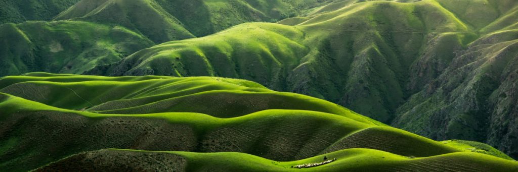 Get In Touch 1024x341