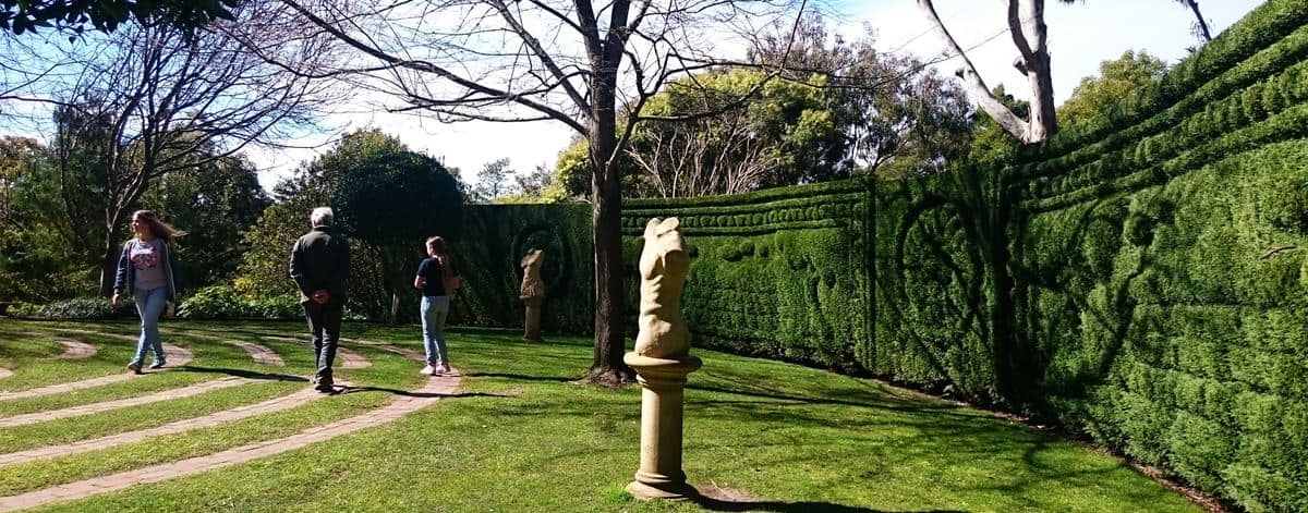 Enchanted Maze Gardens (23)