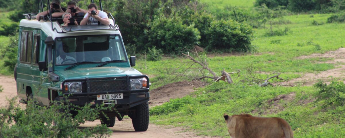 Gorilla & Wildlife Safari on Christmas Day in Uganda.