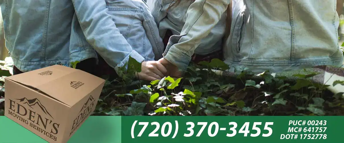 family owned movers