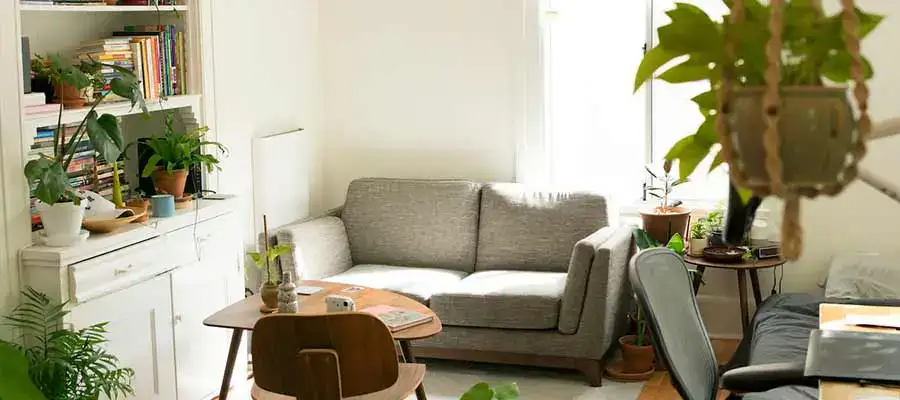 long distance moving companies in colorado