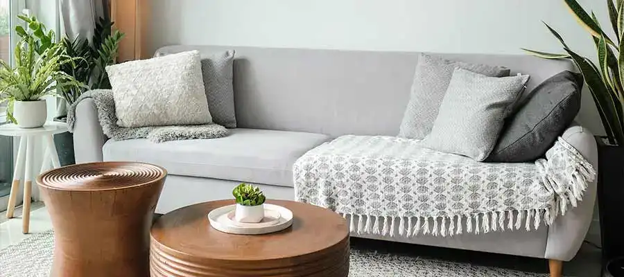 best long distance moving companies in denver co